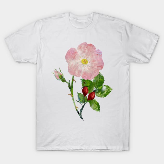 Dog rose, T-Shirt by Babban Gaelg